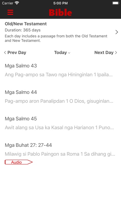 Maayong Balita Biblia (Audio) screenshot-3