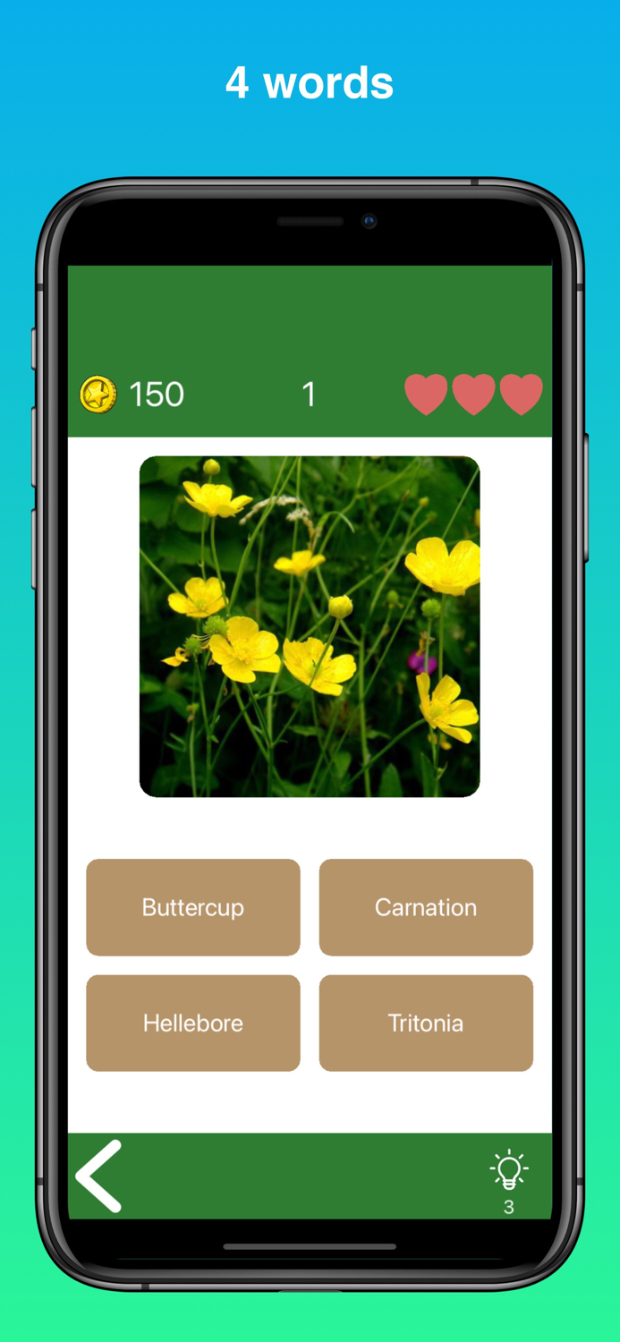 Quiz Flowers guess one answer