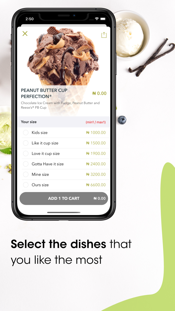 Coldstone  Pinkberry Nigeria