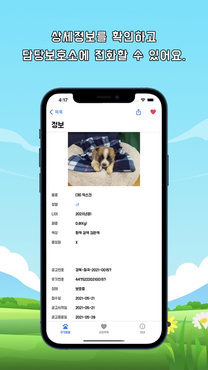 캣도그 - 유기동물 입양 & 실종동물 찾기