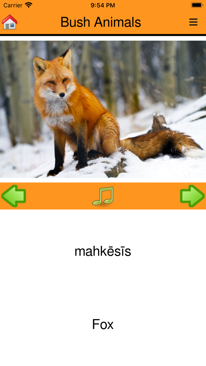 FDFN Cree Language App