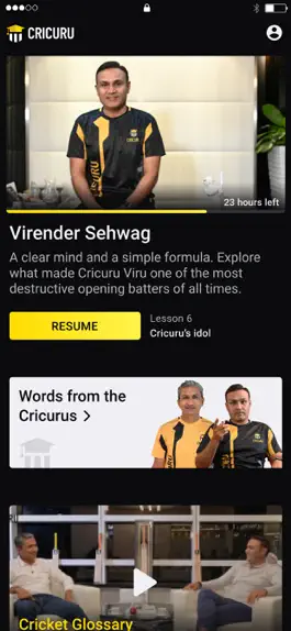 Game screenshot Cricuru apk