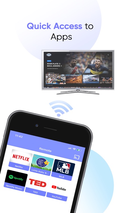 Universal TV Remote Controller