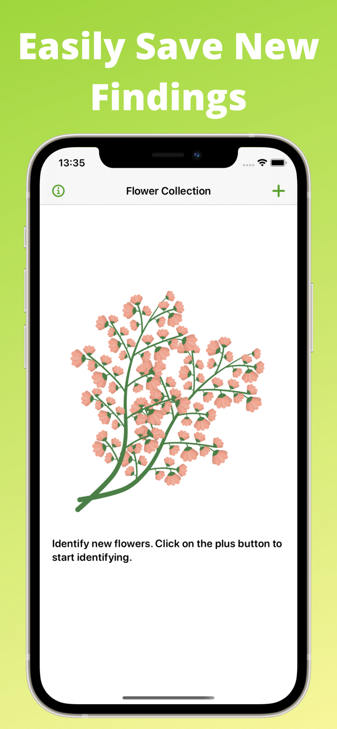 Flower identification, Blossom