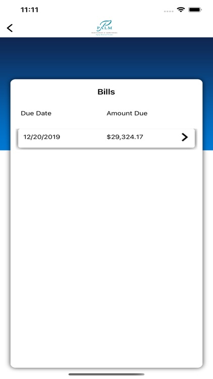 Palm Bill Pay screenshot-5