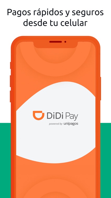 DiDi Pay