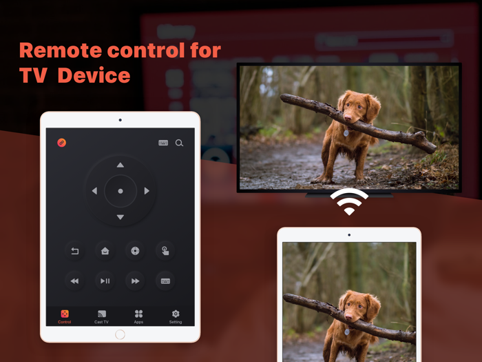TV Remote control for TV Stick