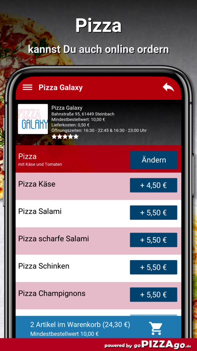 Pizza-Galaxy Steinbach screenshot 5