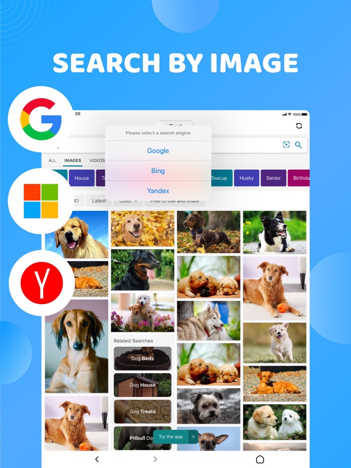 Reverse Image Search