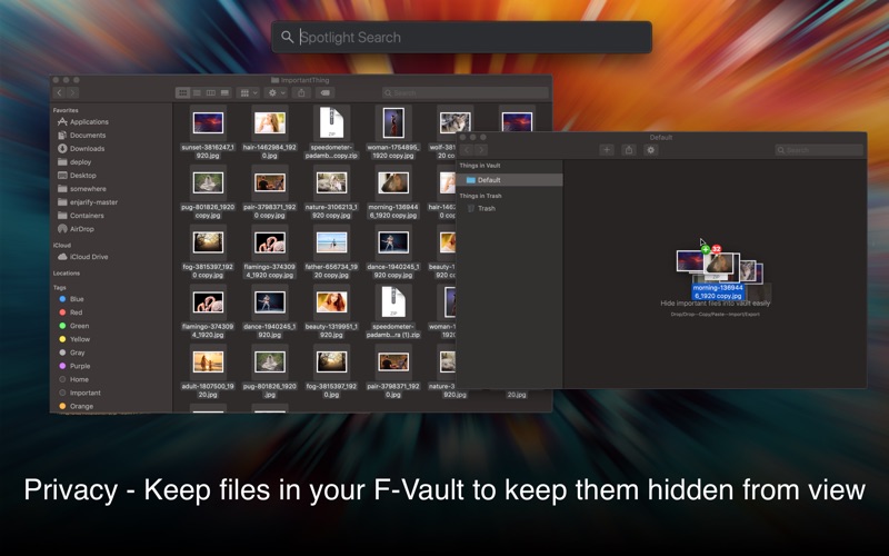 F-Vault Screenshot