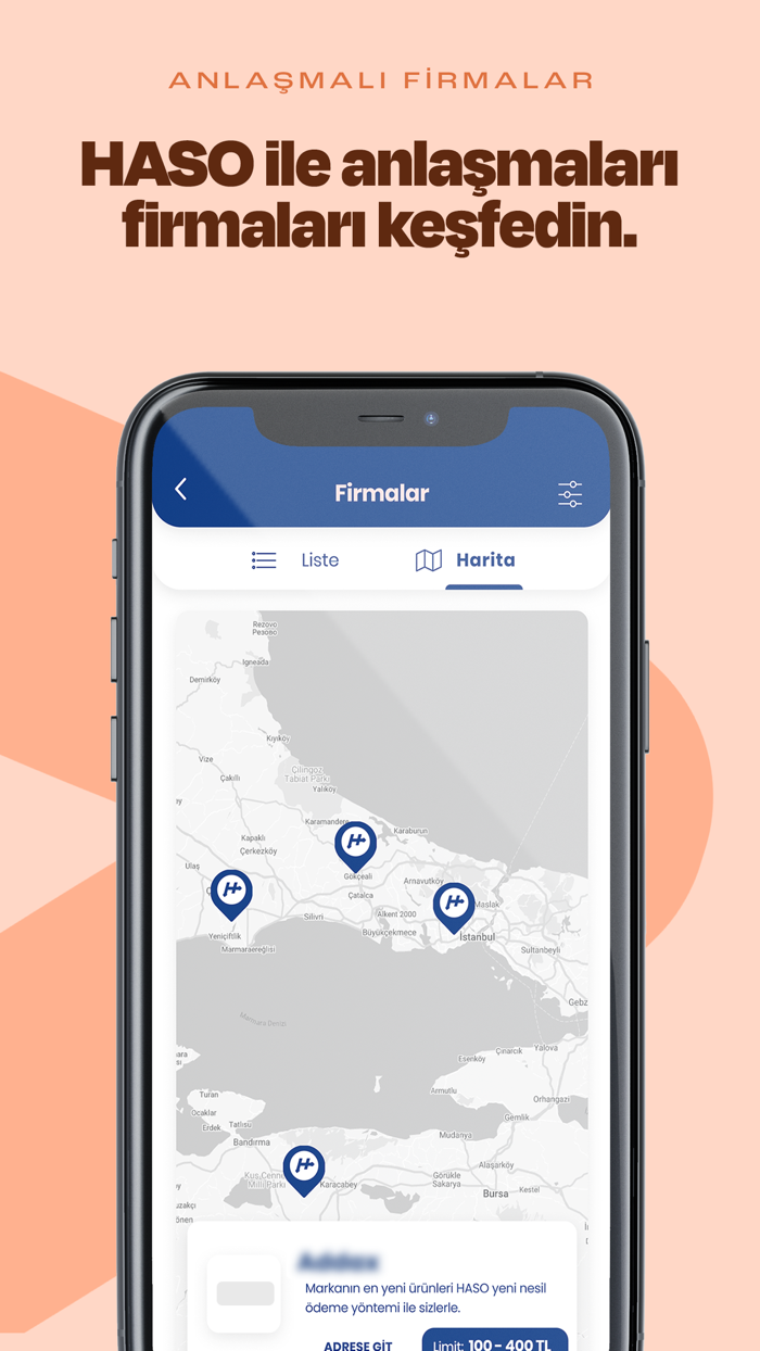 HASO  Hemen Al Sonra Öde