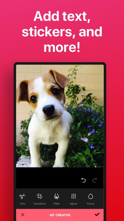 GIF Maker ‣ GIF Editor screenshot-4
