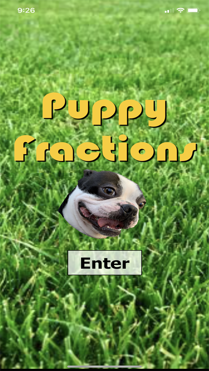 Puppy Fractions