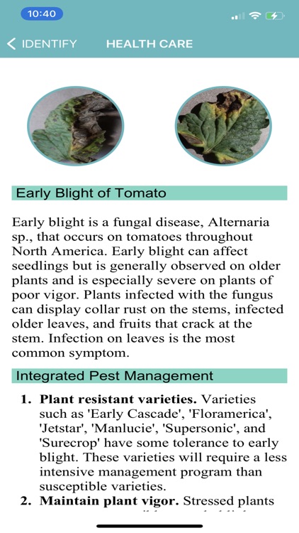 Tomato Diseases Identification screenshot-3