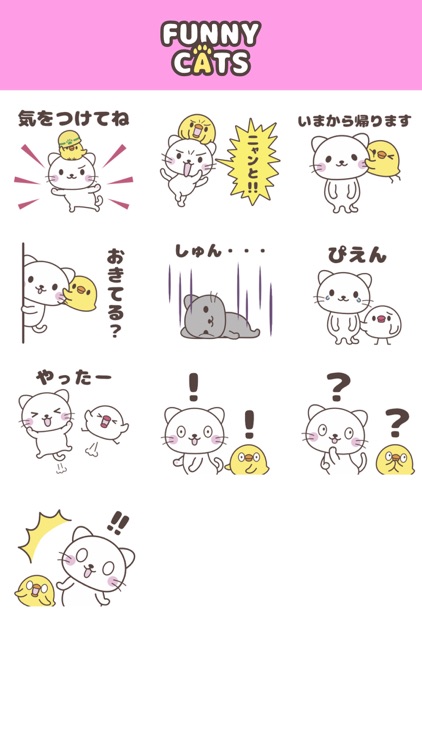 FUNNY CATS【 1 】