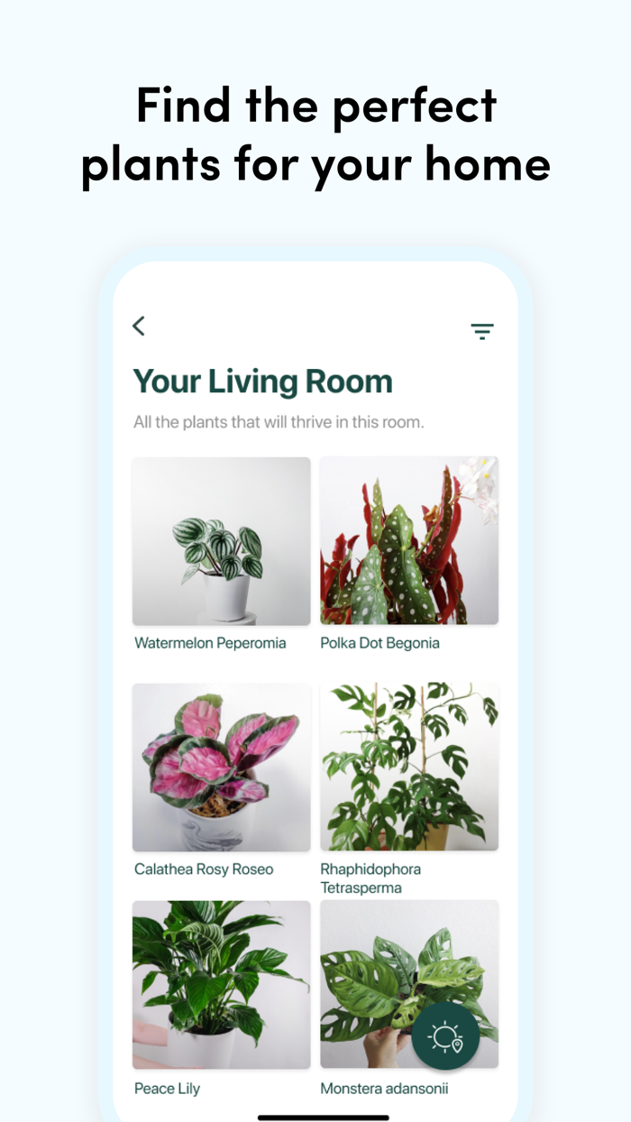 Steward Plant Care Customized