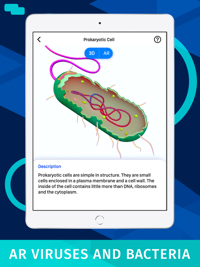 Bacteria AR Zoom Cell Anatomy