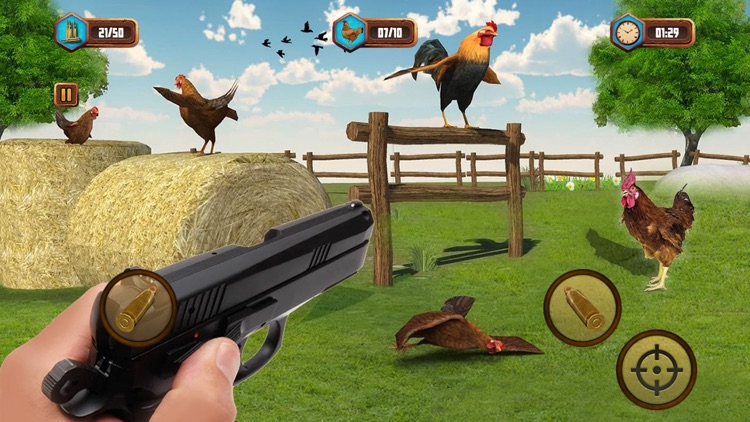 Bird Hunting Shooting Game