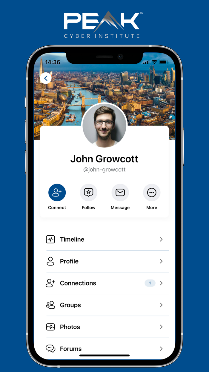 Peak Cyber Institute