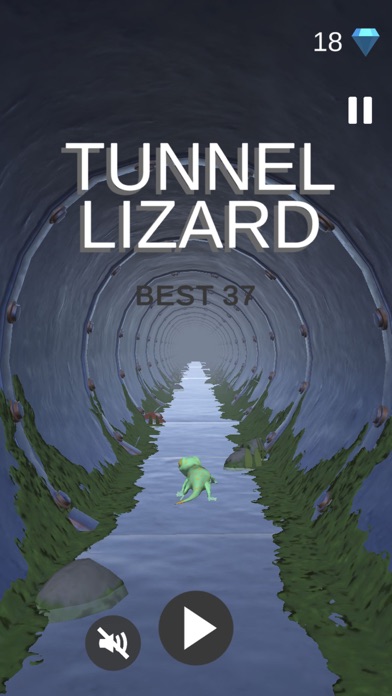 TunnelLizard