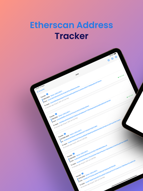 Etherscan Address Tracker