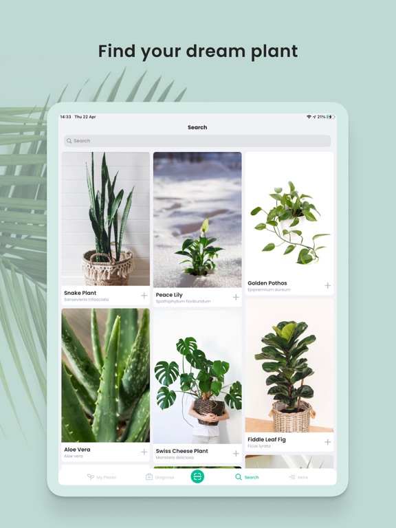 PlantIn: Plant Identifier For IPhone