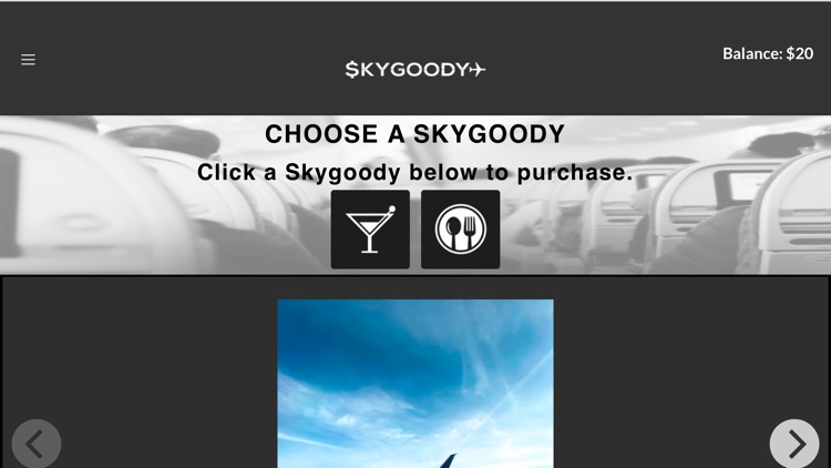 Skygoody screenshot-3