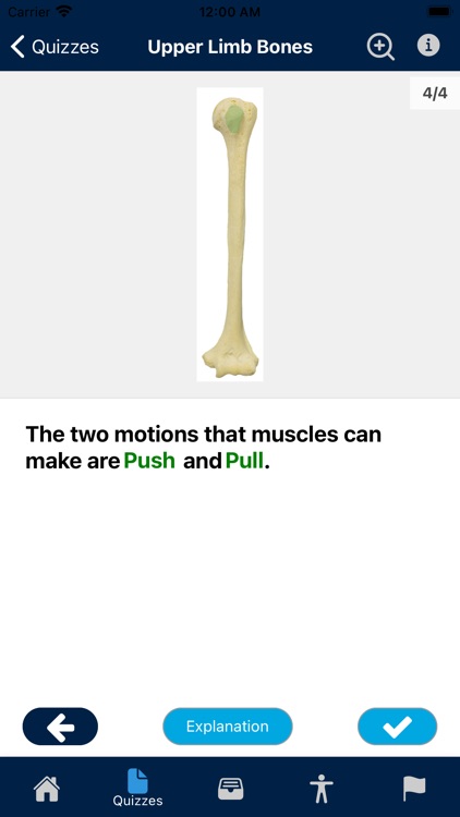 UBC Human Anatomy Teaching App screenshot-4