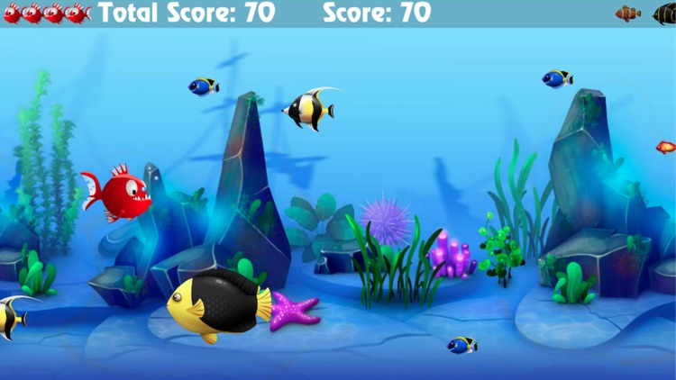 Frenzy Piranha Fish World