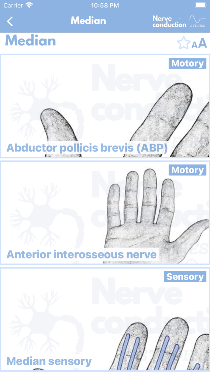Nerve Conduction Studies