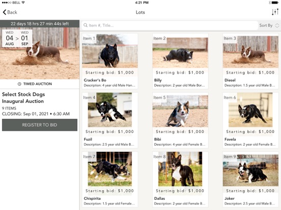 Select Stock Dog Sales screenshot 2