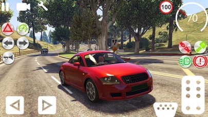 Car Parking & Driving Sim 21 screenshot 2