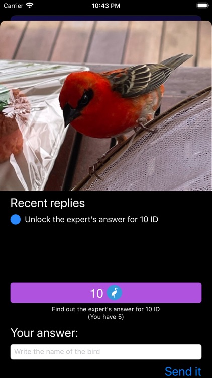 Bird ID - Bird Identification screenshot-3