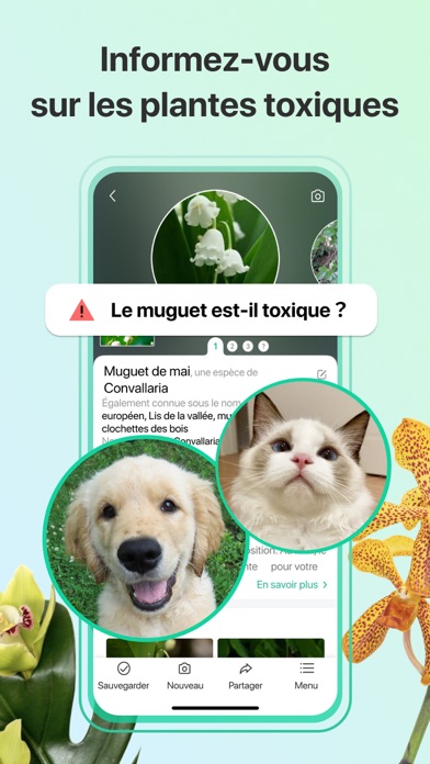 PictureThis-Identifier Plantes PictureThis-Identifier Plantes