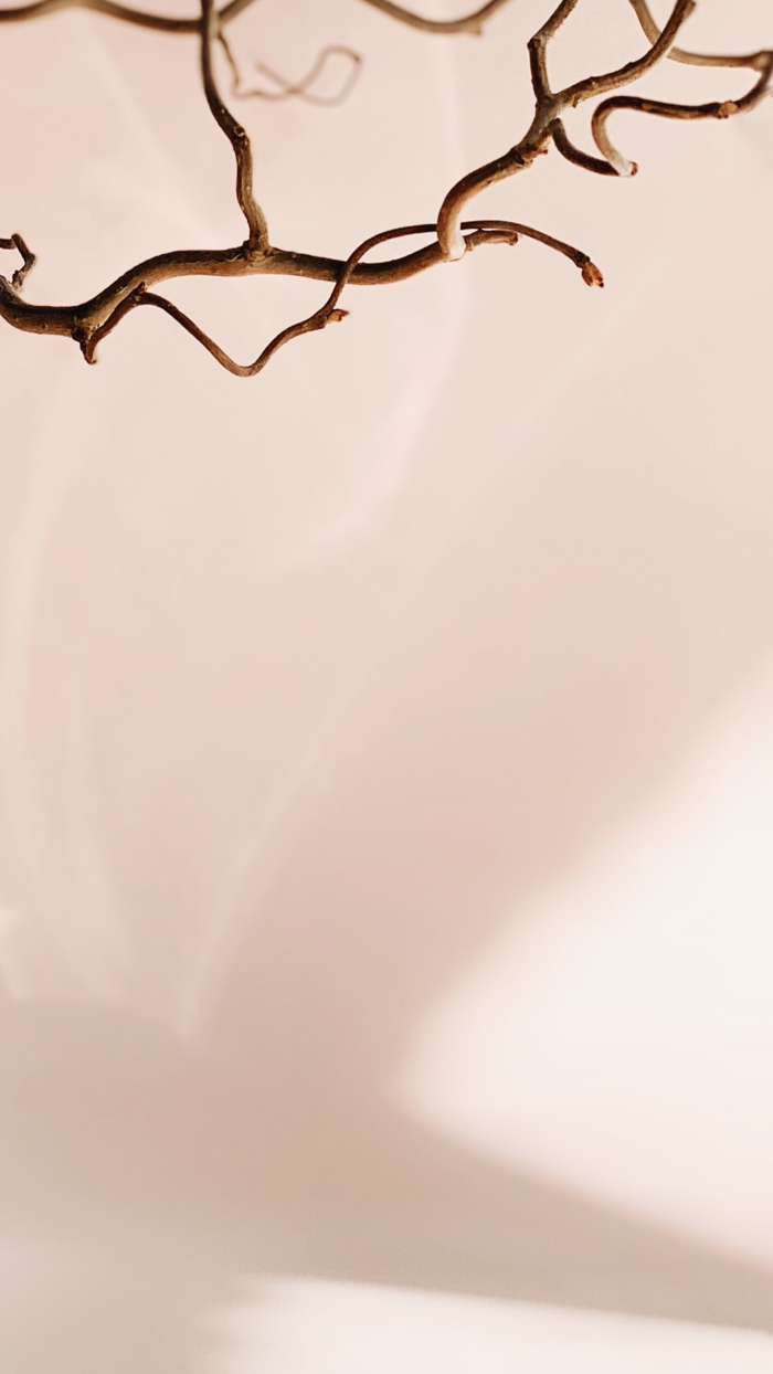 Period Tracker  Woman Health