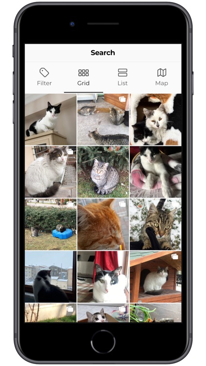 Pawmood screenshot-3