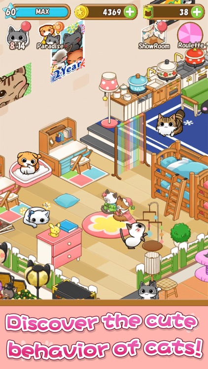 Cat Room - Cute Cat Games screenshot-1