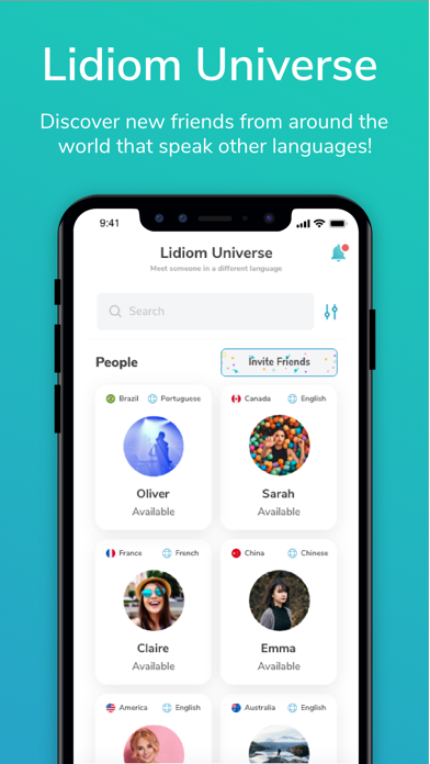 Lidiom screenshot 4