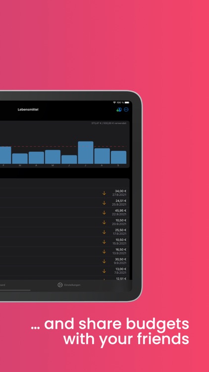 Budgets - Financeplanner screenshot-5