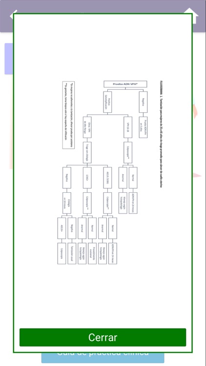 Guía Práctica Clínica ACPTG V2 screenshot-6