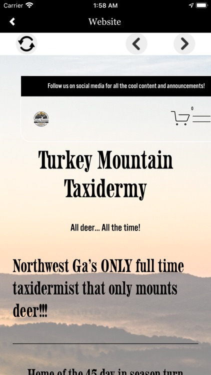 Turkey Mountain Taxidermy screenshot-4