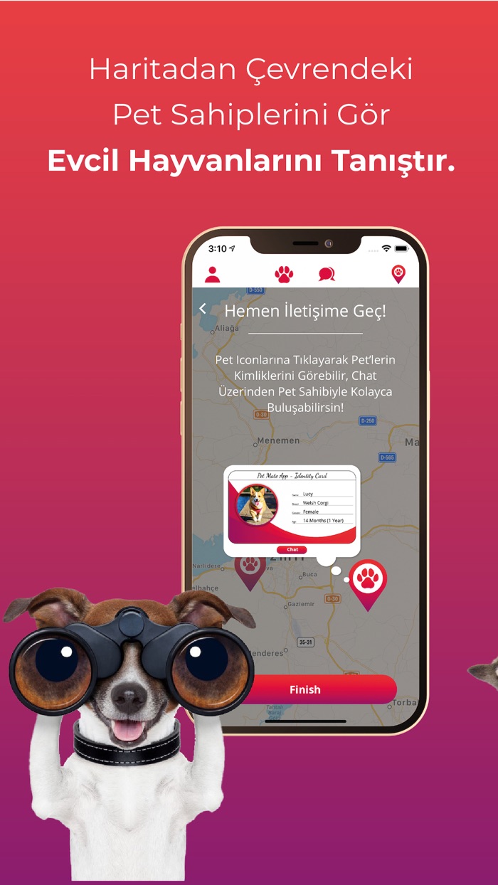 Pet Mate Date  Meet for Pets