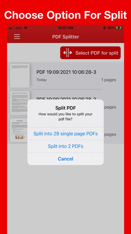 Split PDF - Extract PDF Pages