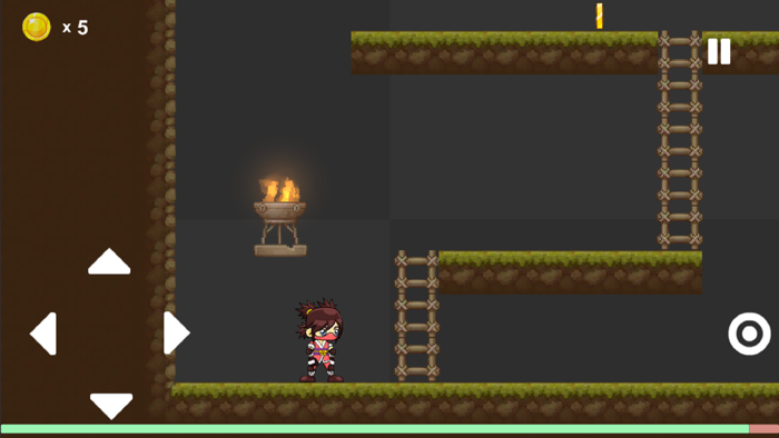 Ninja Runner - Platformer Game
