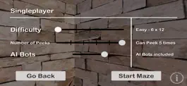 Game screenshot Maze Race Challenge apk