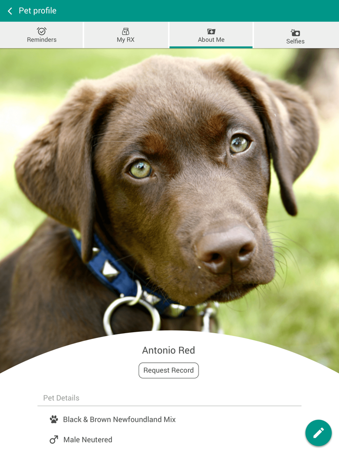 Beechwood Vet Clinic