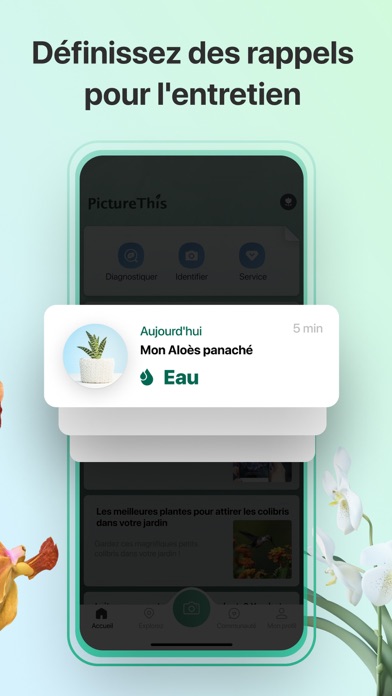 PictureThis-Identifier Plantes PictureThis-Identifier Plantes