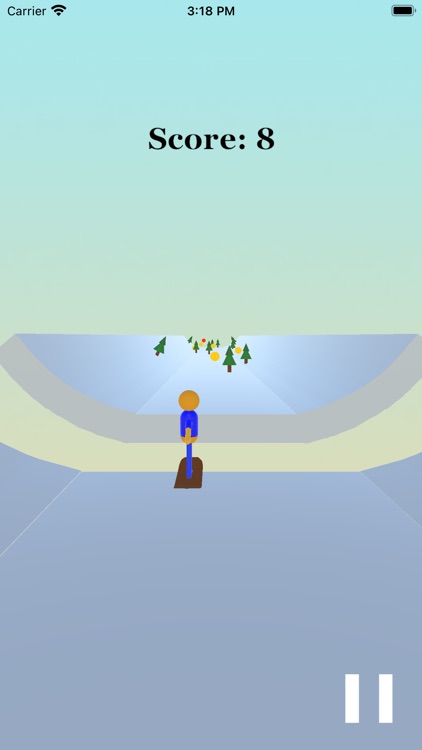 Skate 3D Game