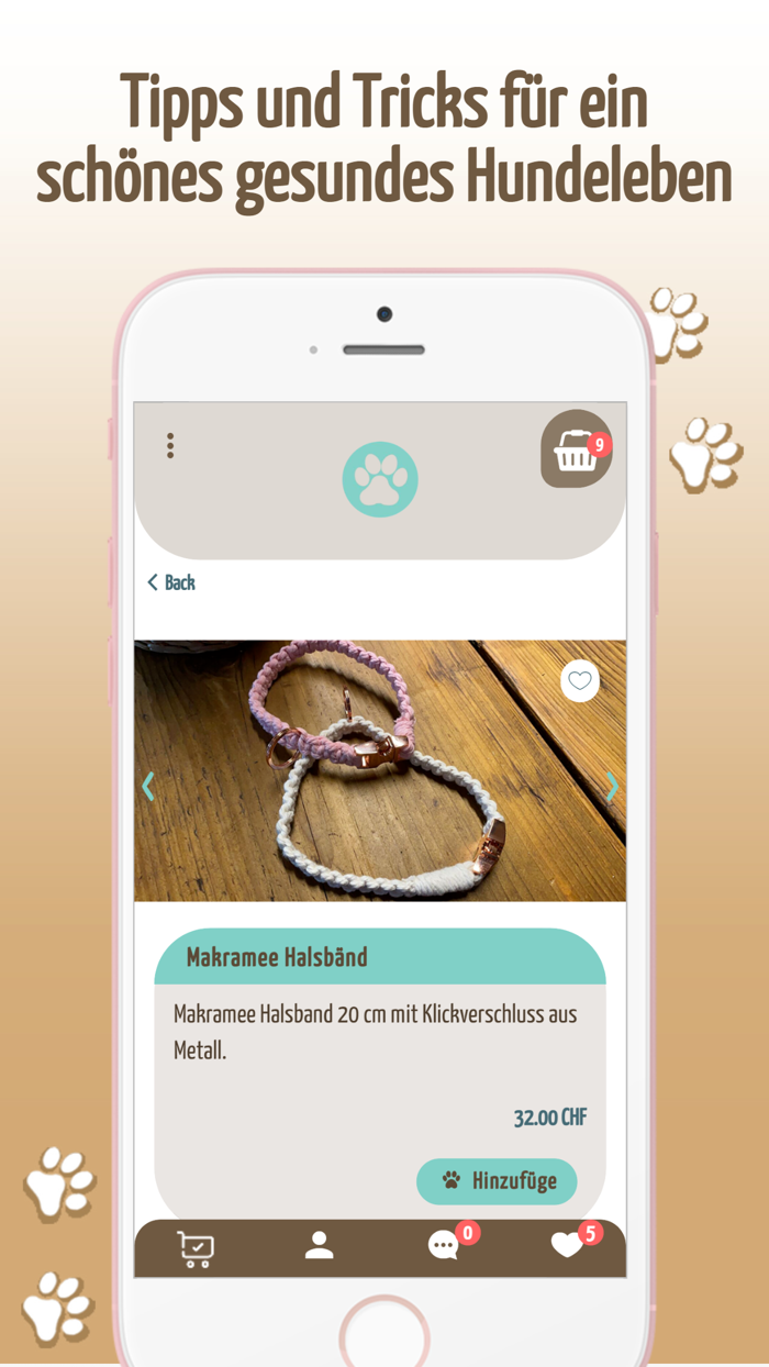 Hunde Pfoten Balance