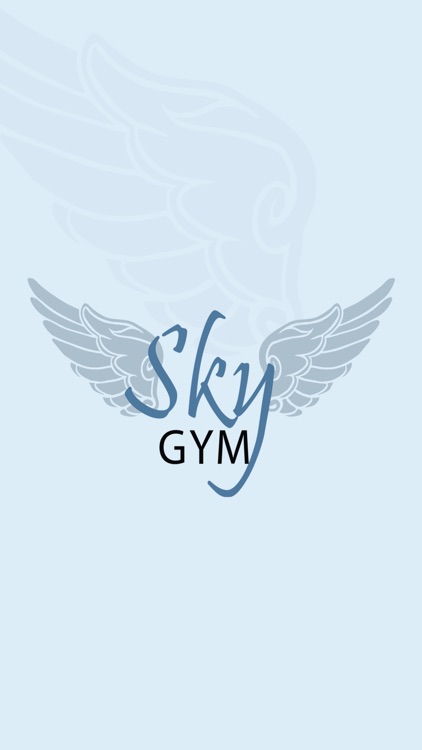 Sky Gym Atlanta